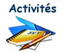 activité